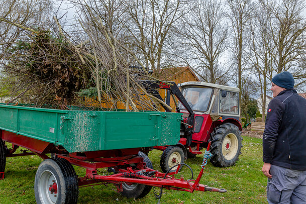 Thumbnail: _JA 28279.jpg